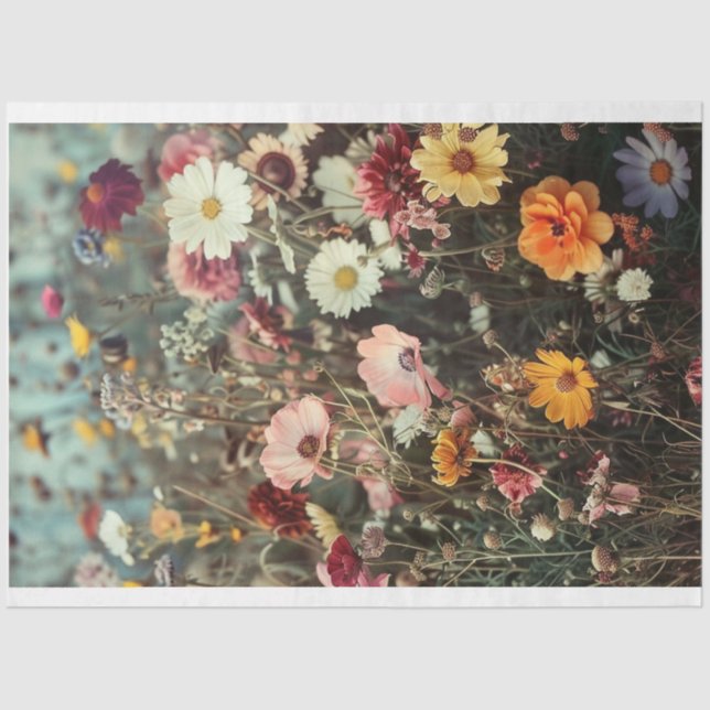 Papel De Seda Campo de belas flores com separador de margaridas (Frente )