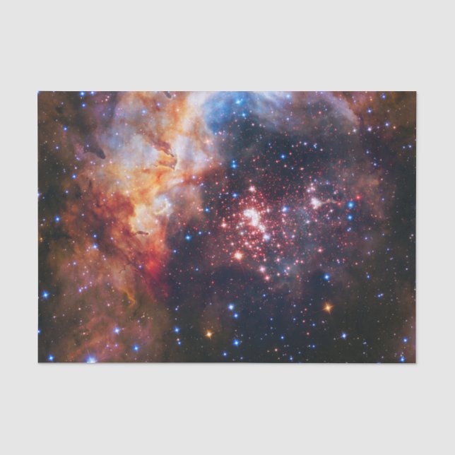 Papel De Seda Campo de estrela de Falln Westerlund (Frente )