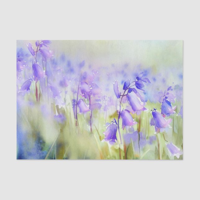 Papel De Seda Campo de Flores-Bluebell (C) Aquarela (Frente )