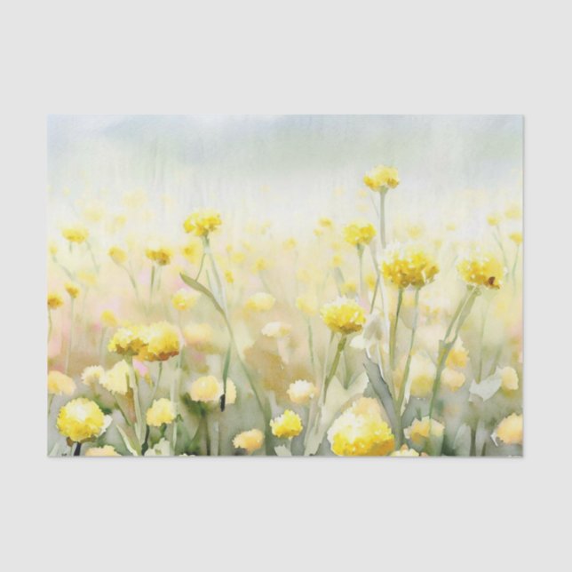 Papel De Seda Campo de Flores-Craspedia (C) Aquarela (Frente )