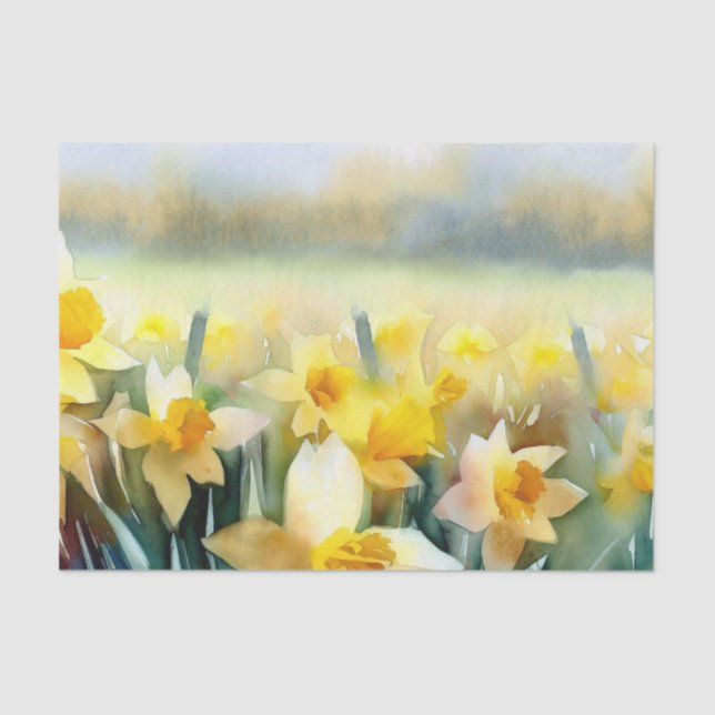 Papel De Seda Campo de Flores-Daffodil (B) Aquarela (Frente )