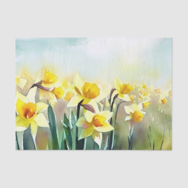 Papel De Seda Campo de Flores-Daffodil (D) Aquarela (Frente )