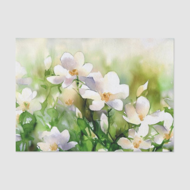 Papel De Seda Campo de Flores-Jasmina (A) Aquarela (Frente )