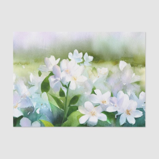 Papel De Seda Campo de Flores-Jasmina (D) Aquarela (Frente )