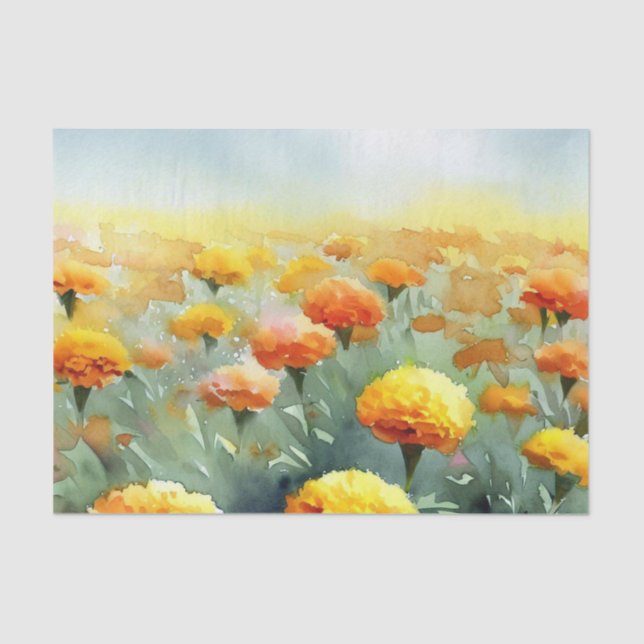 Papel De Seda Campo de Flores-Marigold (A) Aquarela (Frente )