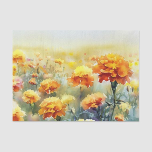 Papel De Seda Campo de Flores-Marigold (B) Aquarela (Frente )