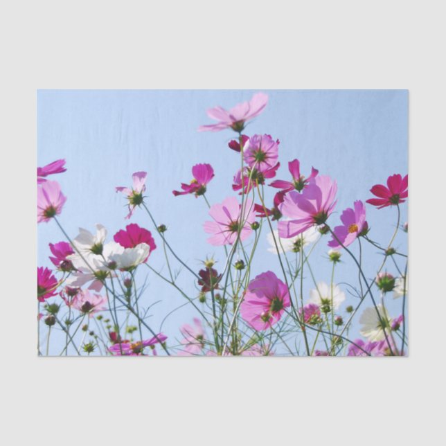 Papel De Seda Campo de Flores Roxas e Bonitas de Verão (Frente )