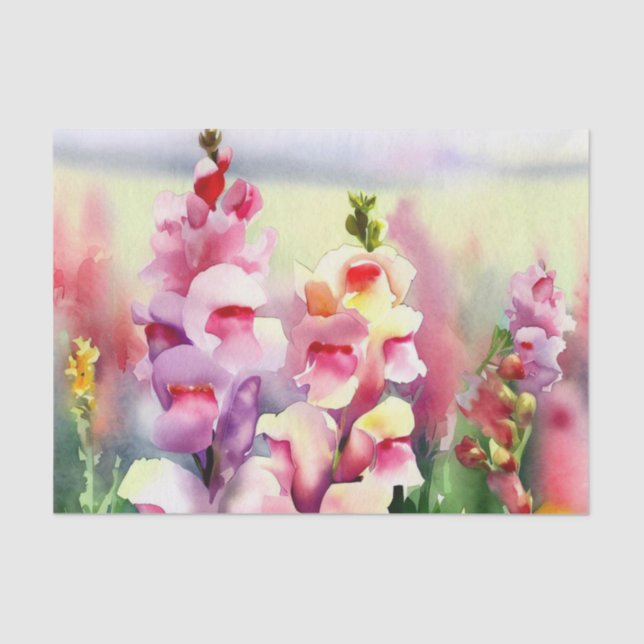 Papel De Seda Campo de Flores-Snapdragon (C) Aquarela (Frente )