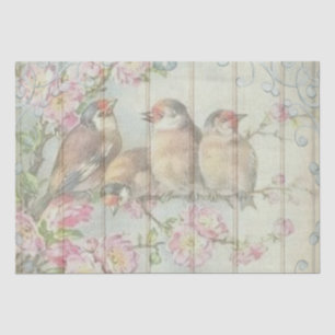 Papel De Seda Canaviais Vitorianos