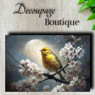 Papel De Seda Canção Noturna de Pássaros em Decoupage