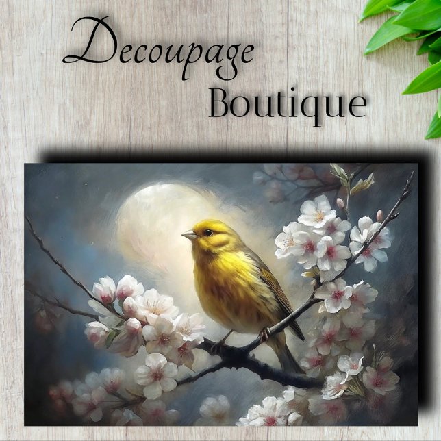 Papel De Seda Canção Noturna de Pássaros em Decoupage (Moonlit Songbird Decoupage Tissue Paper)