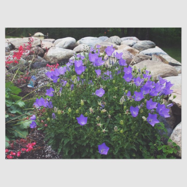 Papel De Seda Canterbury Bells (Frente )