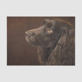 Papel De Seda Cão De Cabelo Castanho