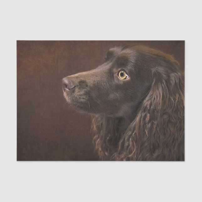 Papel De Seda Cão De Cabelo Castanho (Frente )