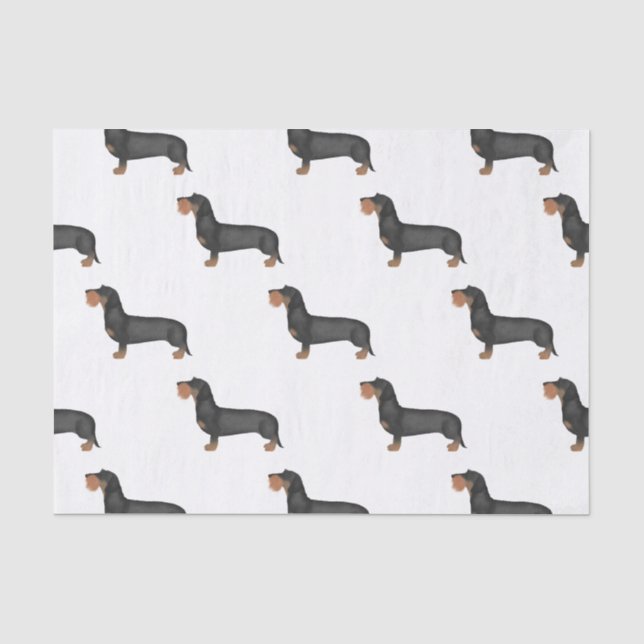 Papel De Seda Cão de Enchimento de Dachshund com Cabelo Cinto (Frente )