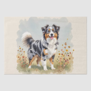 Papel De Seda Cão Pastor Australiano Merle Cauda Longa