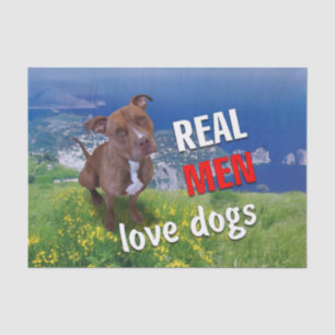 Papel De Seda Cão Pitbull