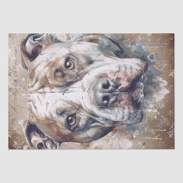 Papel De Seda Cão Pitbull Americano (Frente )
