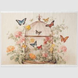 Papel De Seda Captivação da Beleza: Dissociação da Birdcage