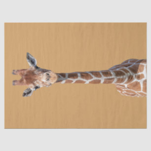 Papel De Seda Cara bonito do girafa