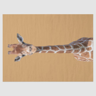 Papel De Seda Cara bonito do girafa