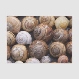 Papel De Seda Caracóis