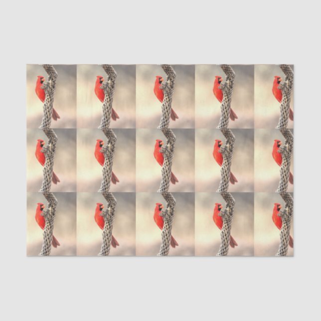 Papel De Seda Cardeal em uma Cholla (Frente )