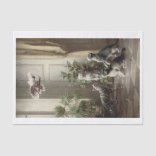 Papel De Seda Carl Richert Gatos — Aves De Papagaio
