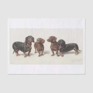 Papel De Seda Carl Richert Pintura A Óleo De Cães Dachshund