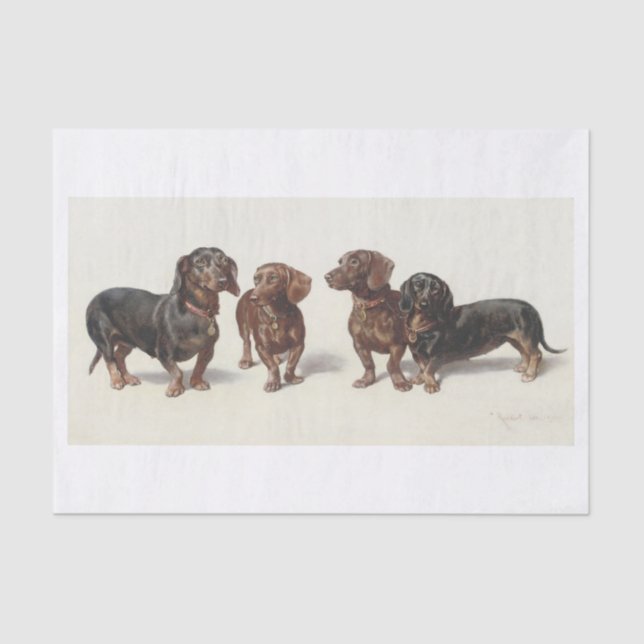 Papel De Seda Carl Richert | Pintura A Óleo De Cães Dachshund (Frente )