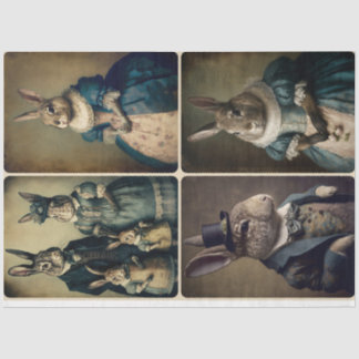 Papel De Seda Caros Colegas, Colegas, Livro dos Tecidos do Coelh