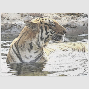 Papel De Seda CArt Tiger 118