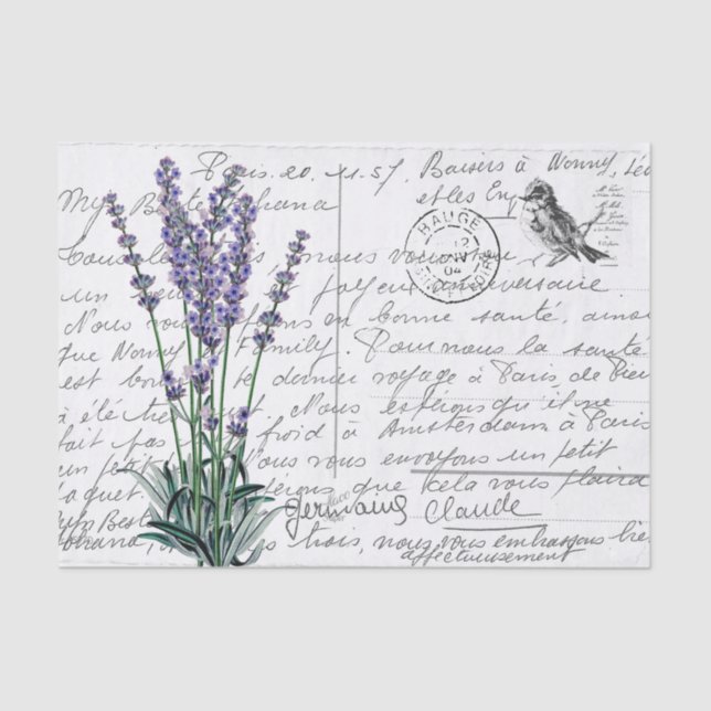 Papel De Seda Cartão-postal de aves de Lavanda com imagem em fra (Frente )