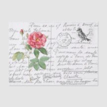 Cartão-postal francês de Rosa francês Vintage