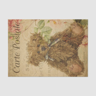 Papel De Seda Carte de Estilo Francês Postale Urso de Teddy