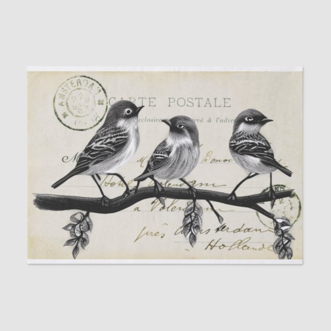Papel De Seda Carte Postale Birds em uma filial (Cartão-postal f (Frente )