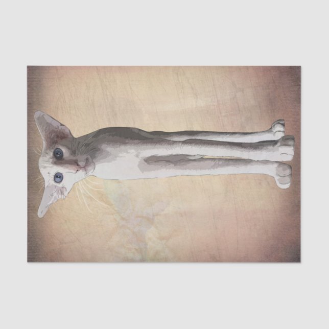 Papel De Seda Cartoon de Gato Engraçado Aquarela (Frente )