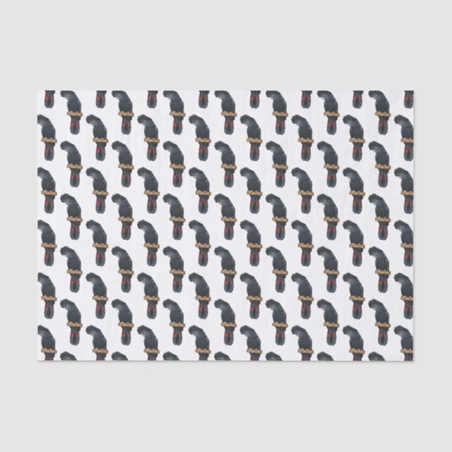Papel De Seda Cartoon de pássaro preto de cauda vermelha (Frente )