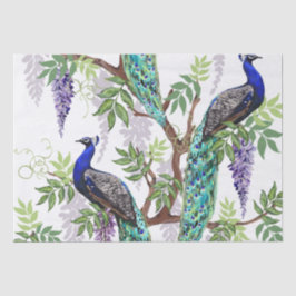 Papel De Seda Casamento Peacock 15"x"20"