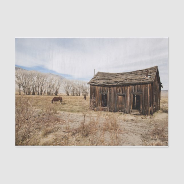 Papel De Seda Casca e Cavalos vestidos em Campo (Frente )