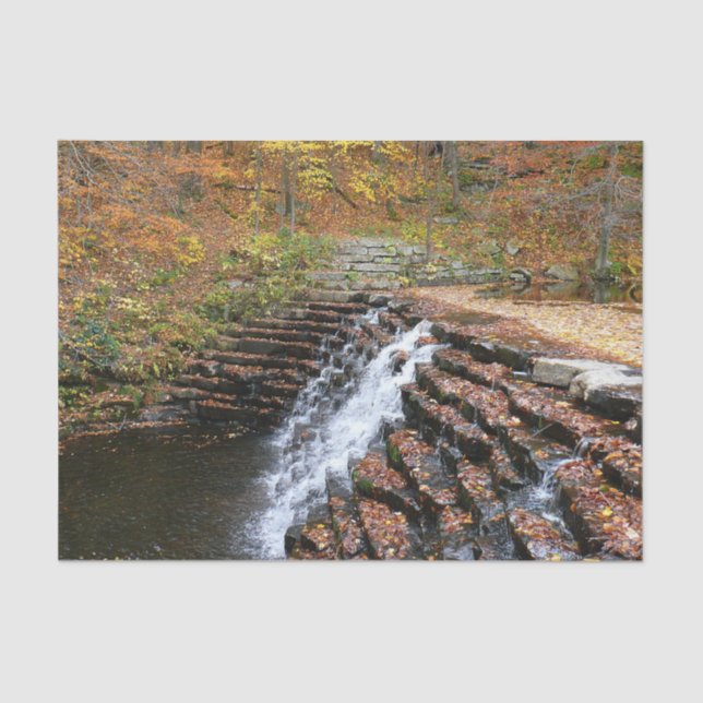 Papel De Seda Cascata em Laurel Hill State Park II (Frente )