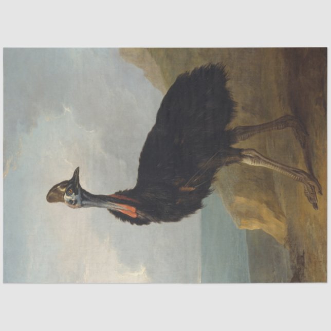 Papel De Seda Cassowary (Australian Bird) (Wild Animal Art) (Frente )