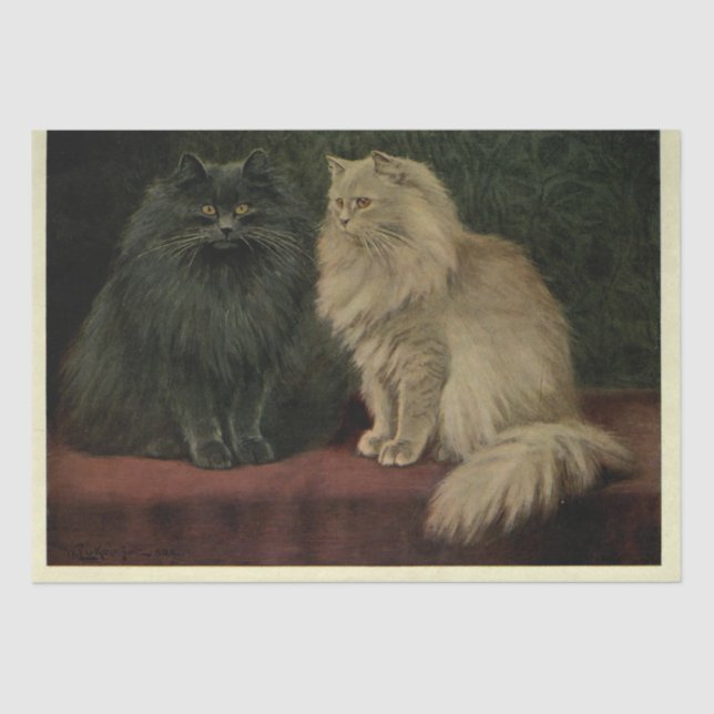 Papel De Seda Cat Ephemera Decoupage Blu Cream Persianos (Frente )