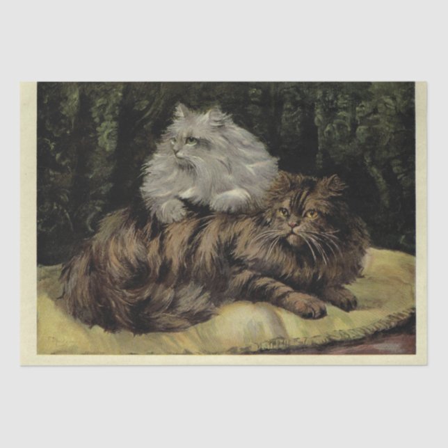 Papel De Seda Cat Ephemera Decoupage Brown Tabby Silver Persa (Frente )