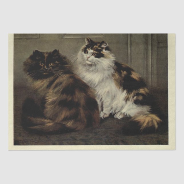 Papel De Seda Cat Ephemera Decoupage TortoisesInferno Negro Bran (Frente )