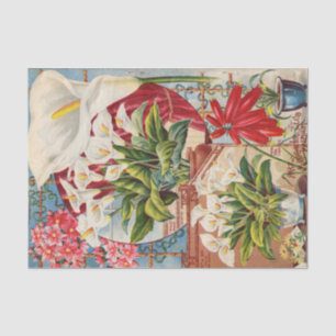 Papel De Seda Catálogo de Bolas de Flor de Calla de John Lewis C
