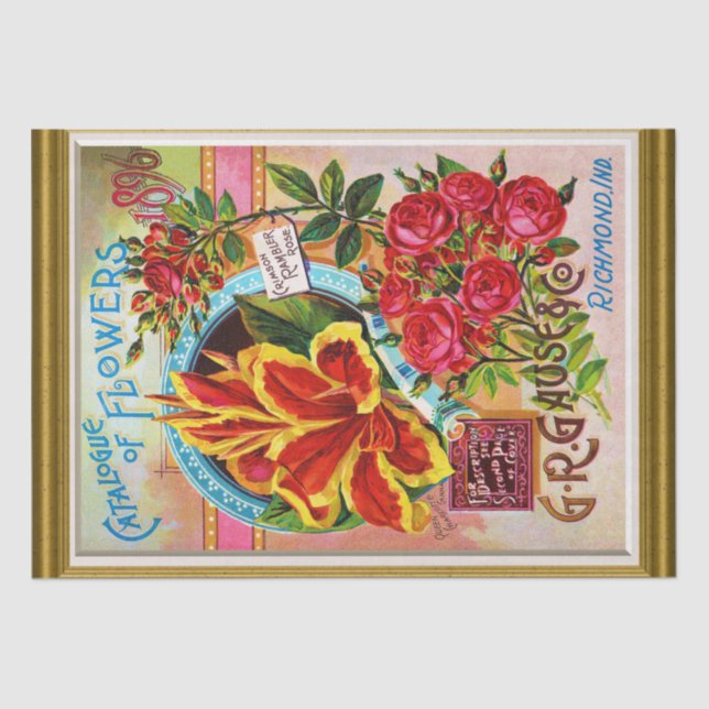 Papel De Seda Catálogo de Cobrir de Sementes 1896 Richmond India (Frente )