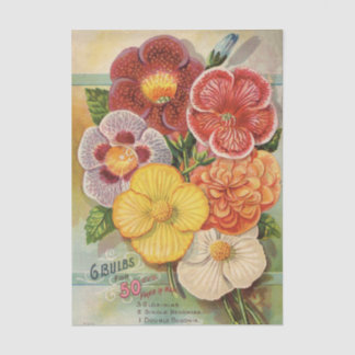 Papel De Seda Catálogo de Flores Antigas de John Gardiner, 1896