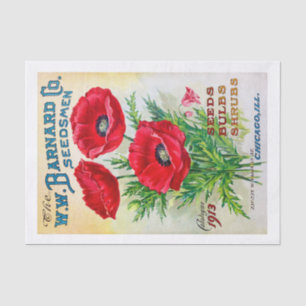 Papel De Seda Catálogo de Semente Genuíno (não AI) Vintage - Pop