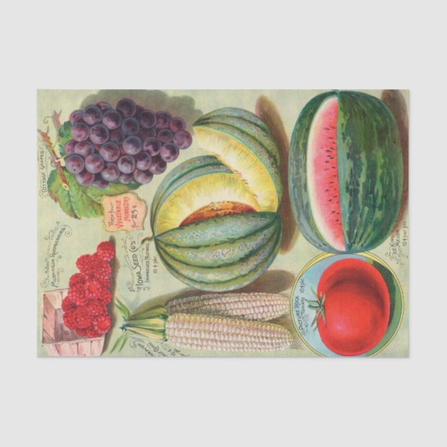 Papel De Seda Catálogo de Semente Vintage - Frutas de Iowa e veg (Frente )